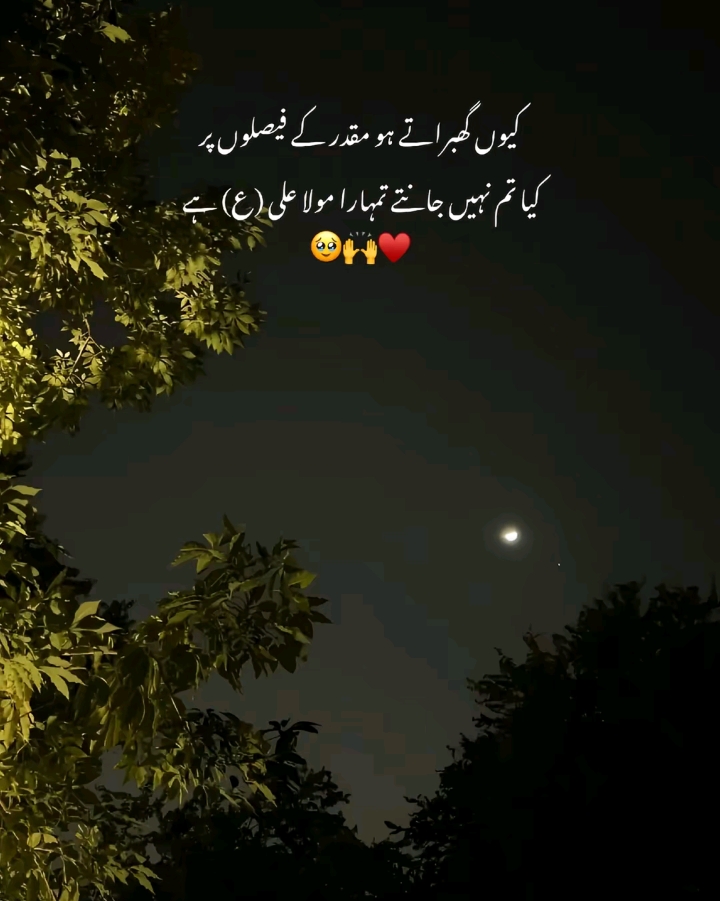 @Shia Girl❤️✨