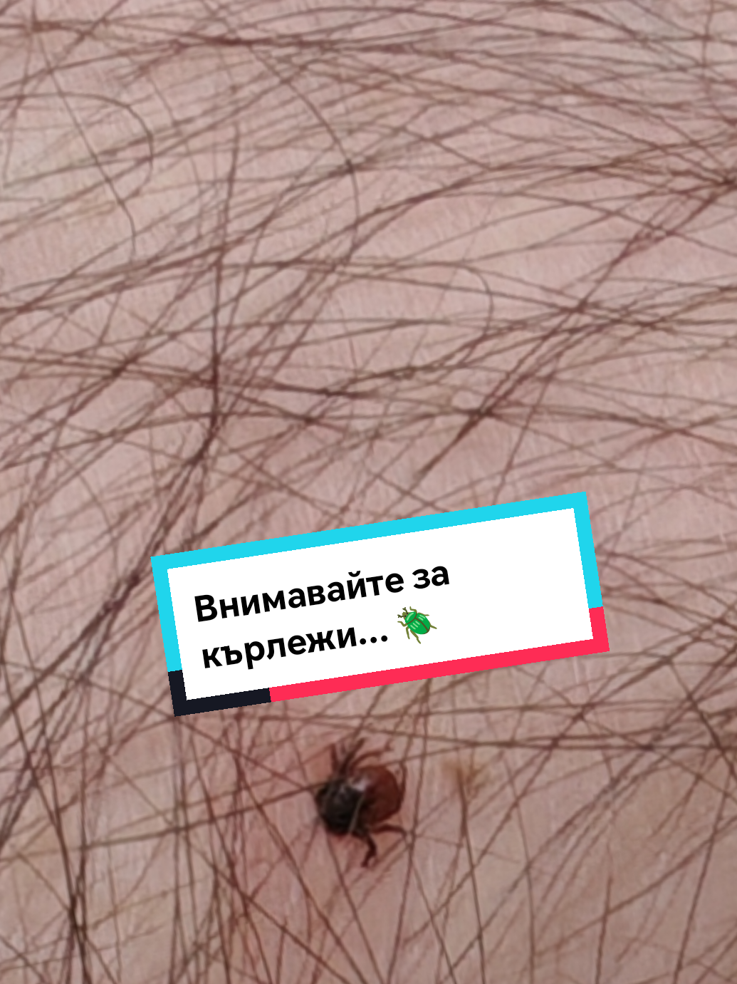 @Nedelin Marinov / Kangen