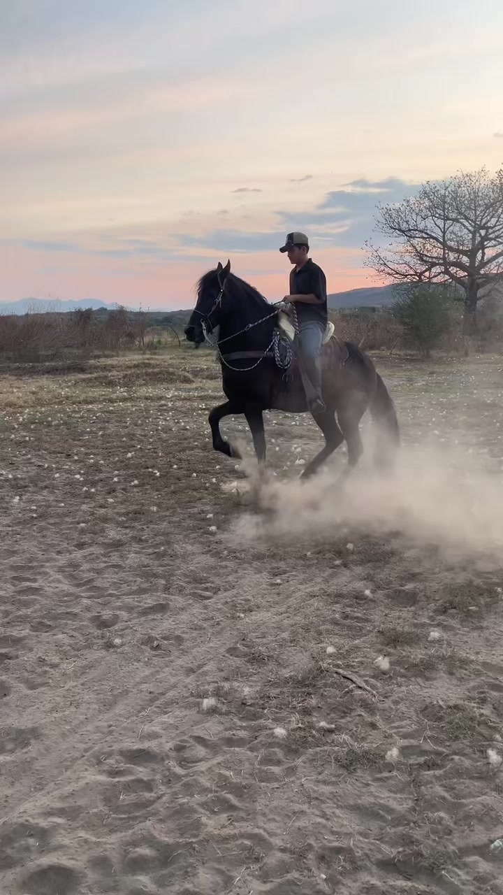 @K.borja🐴