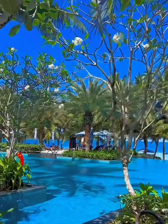 @Travel_Star360