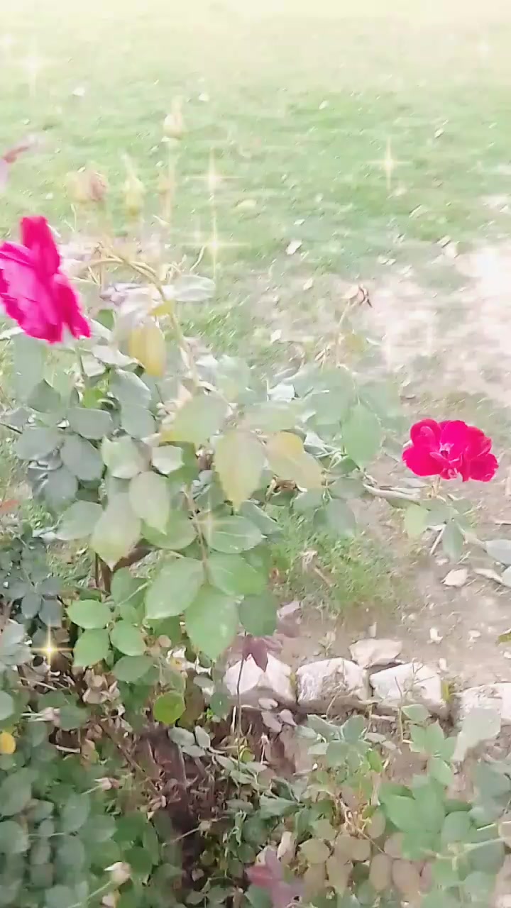 @💞💋💞