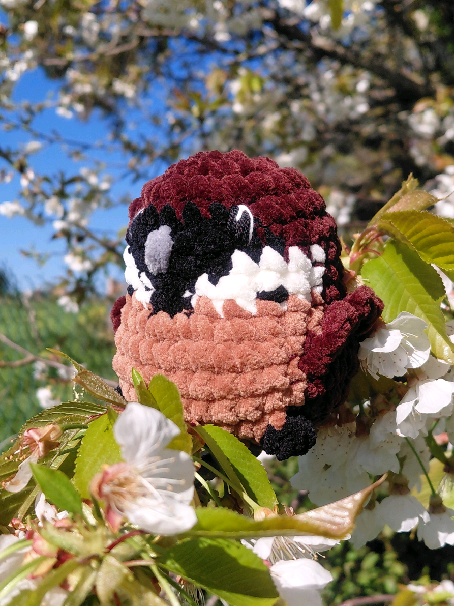 @Ali&eacute;nor peluches au crochet