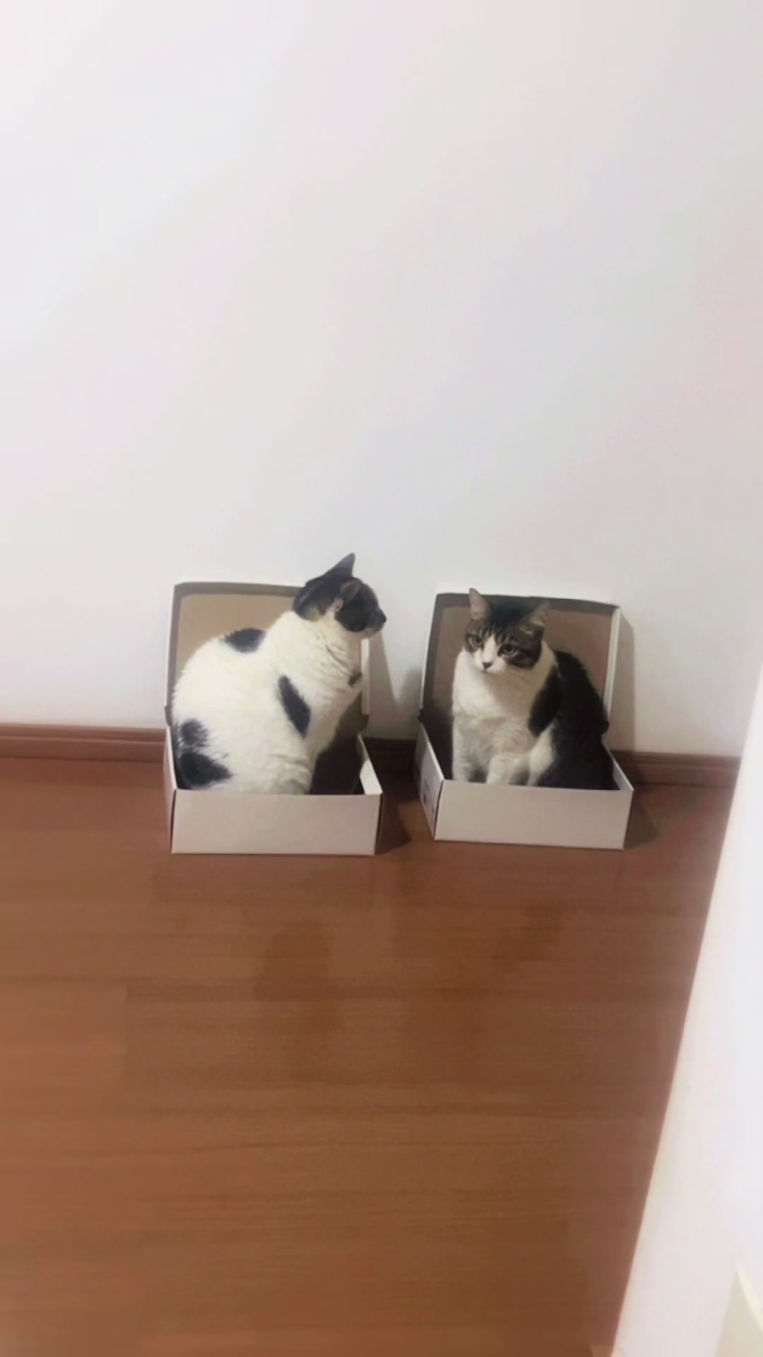 @Lua Maria & Bella Aparecida