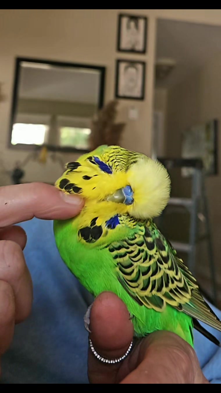 @Run Slow-Mo Charlie🦜