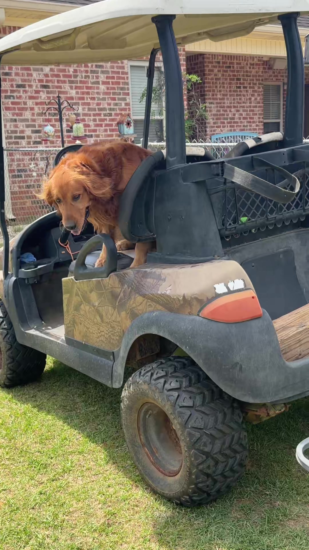 @RhondasRetrievers