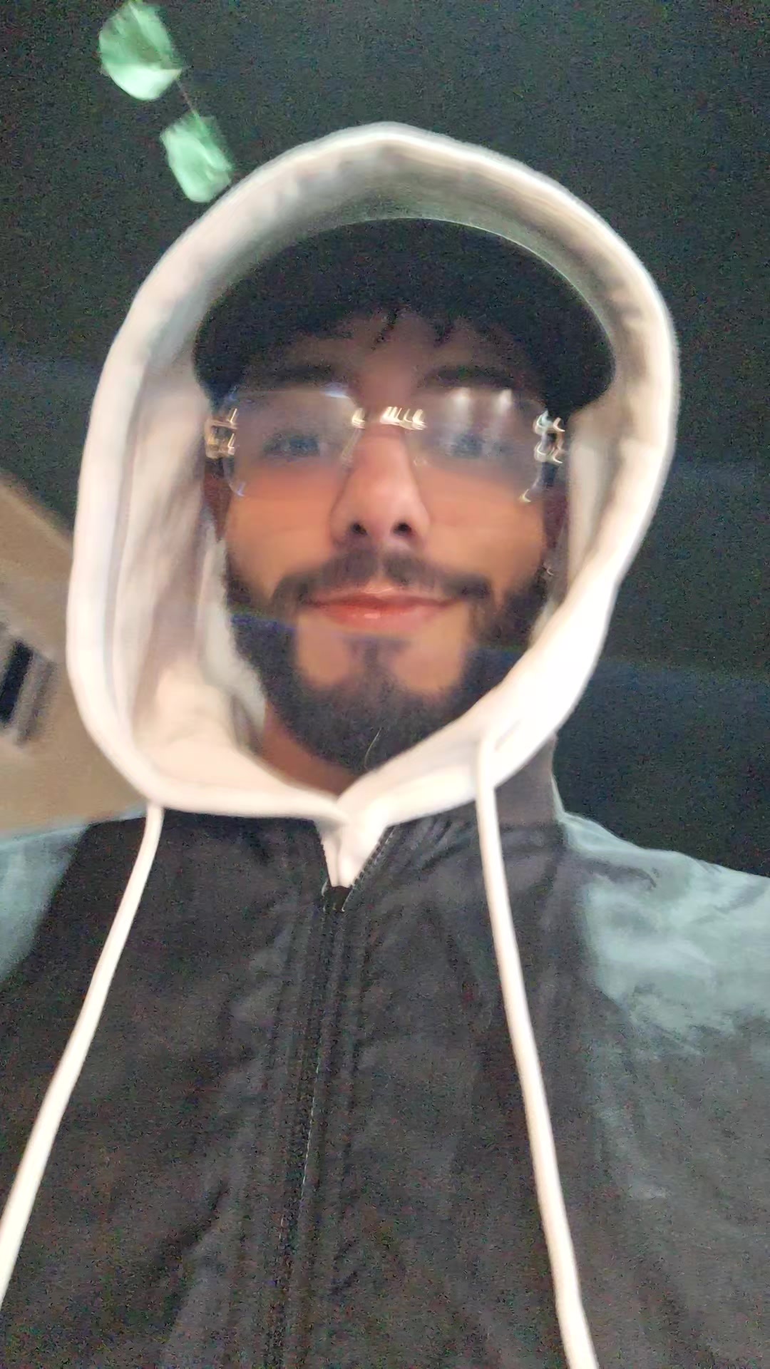 @ⒶⒹⒺⓁ 🐺