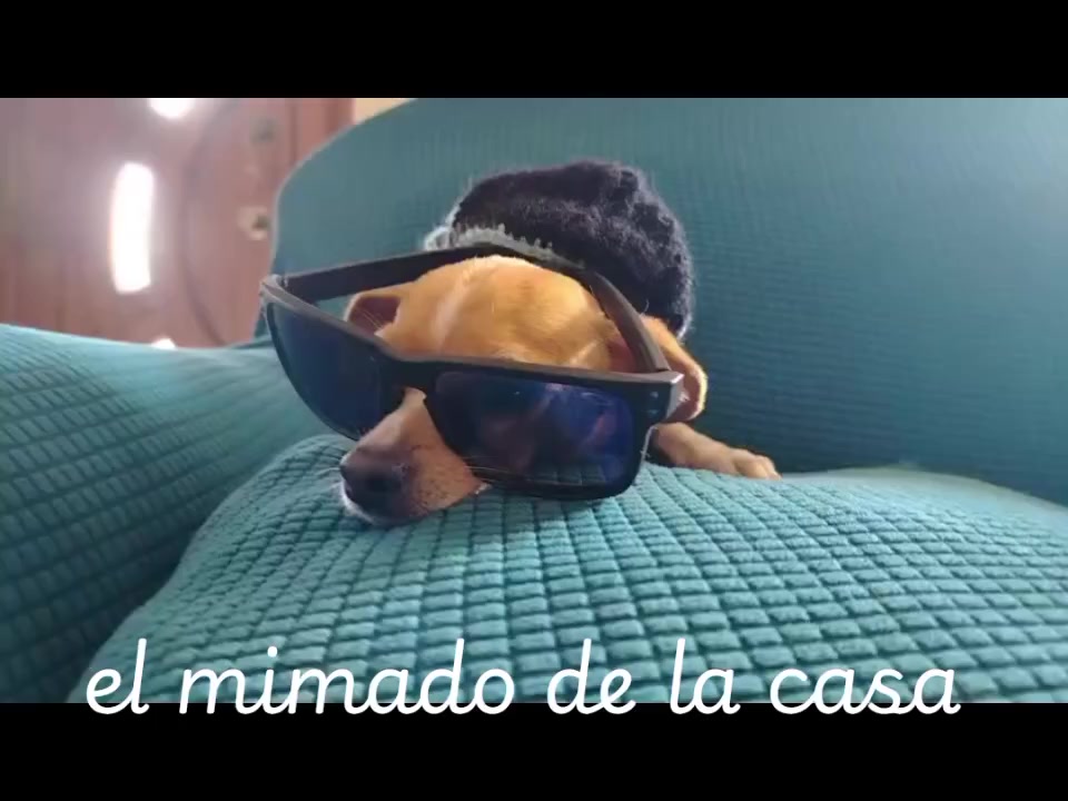 @Silvia 🇪🇨🌺💋