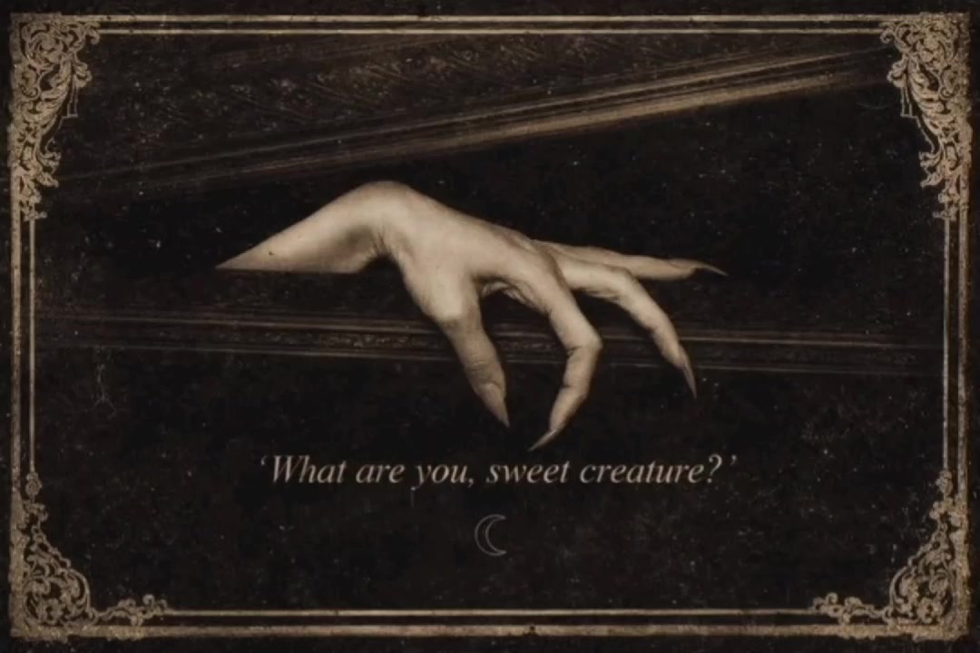 @𝐈𝐬𝐚𝐛𝐞𝐥𝐥𝐚 .⋆♱⃓