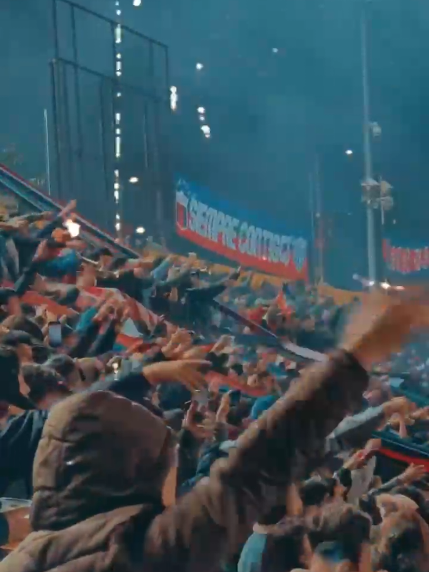 @SDQ ANTIFA