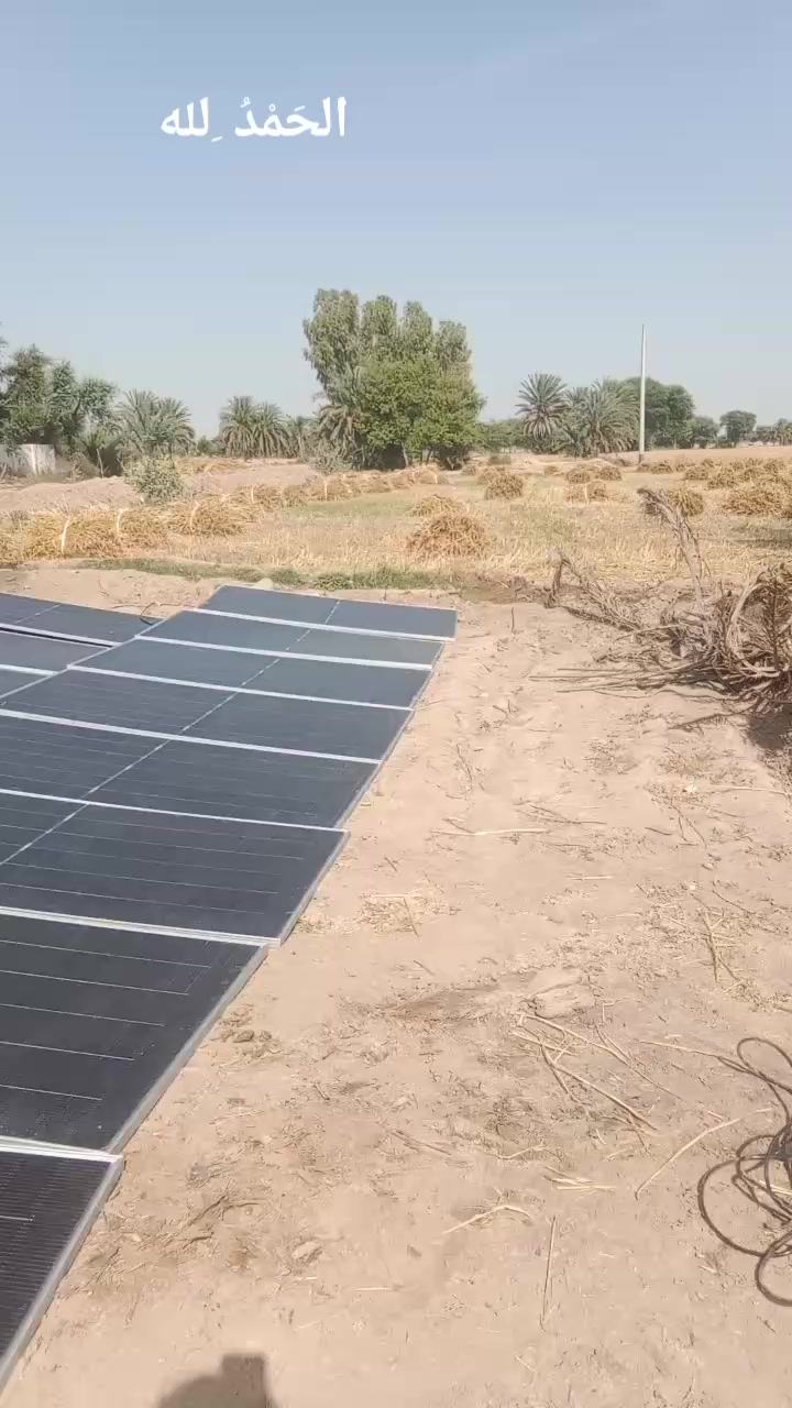 @M  Afzal Solgi 83