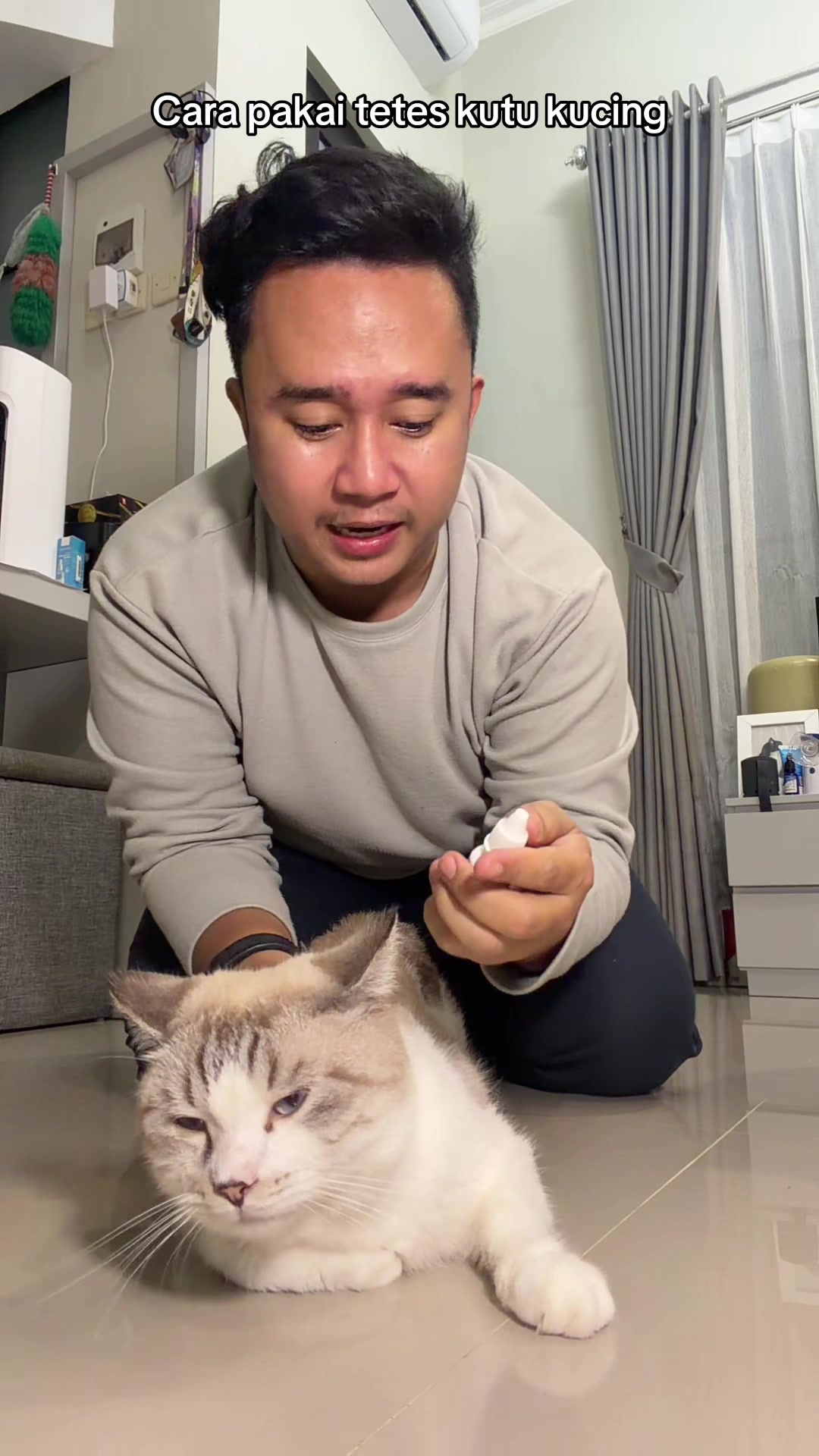 @Rapalguna | bapakkucing 🐱