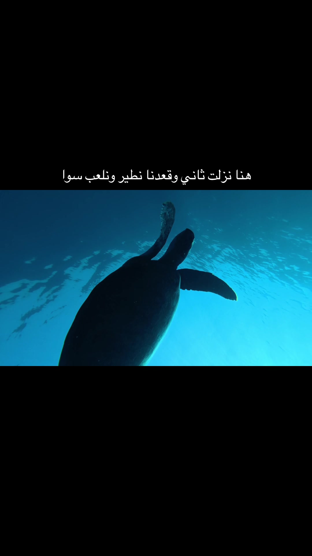 @غواص حر