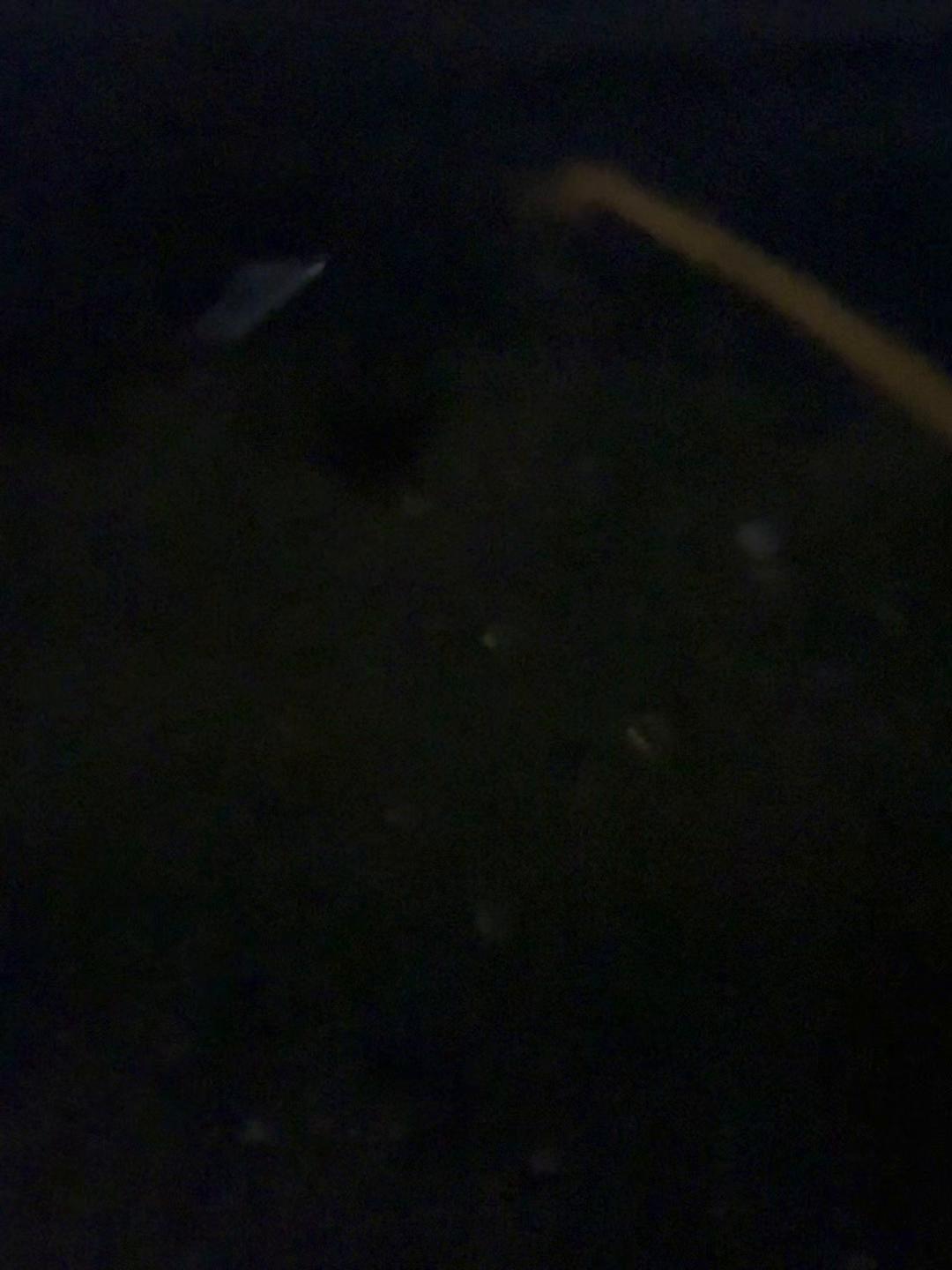 @Я