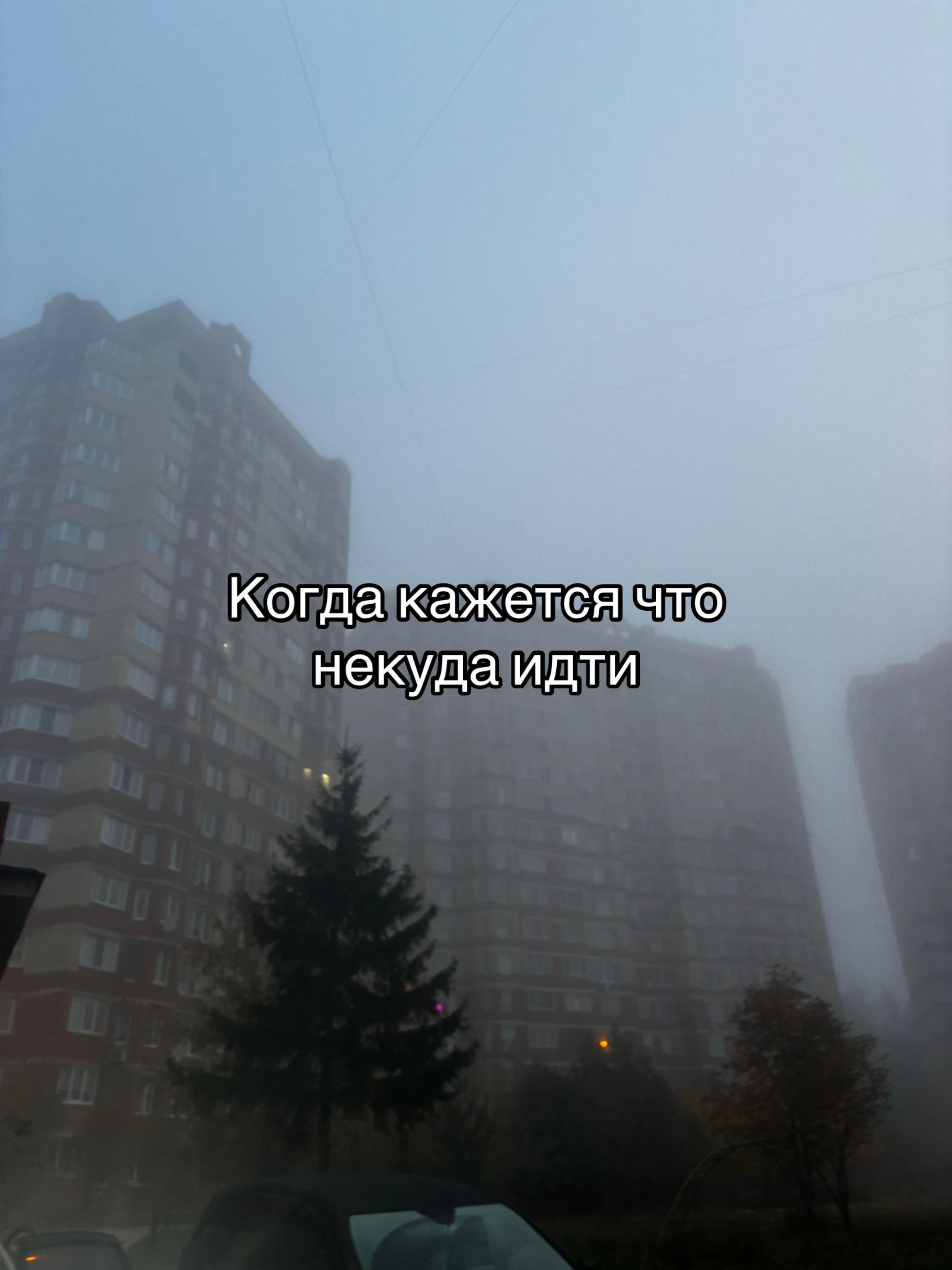 @киса