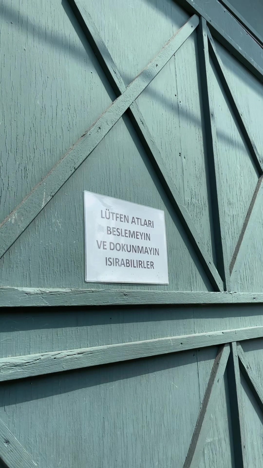 @Sinem Arı