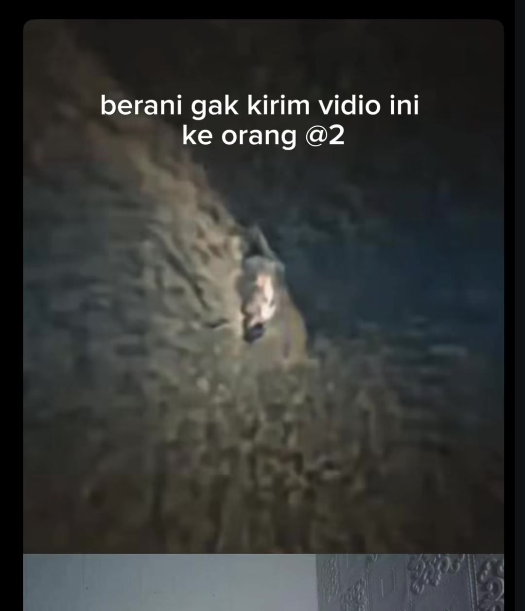 @Filfil