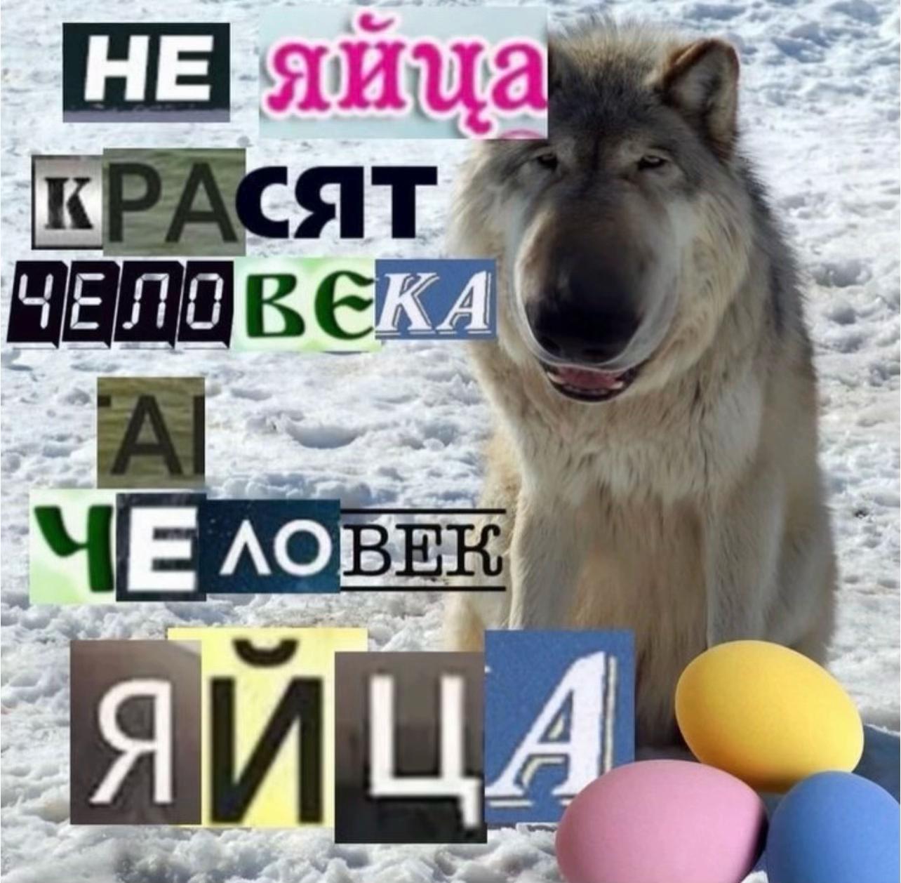 @тгк:woozixx