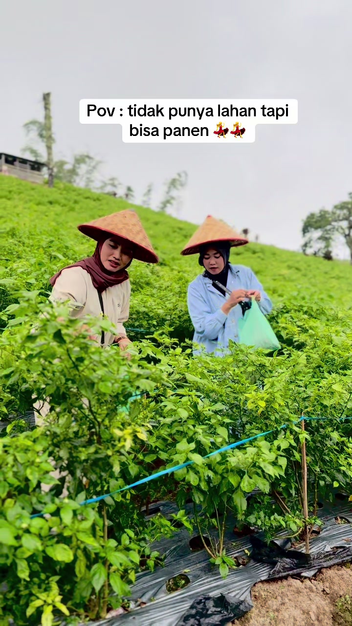 @Anie Puspitasari