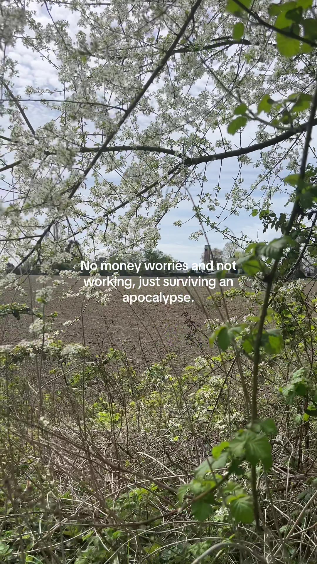 @Movielover🩵