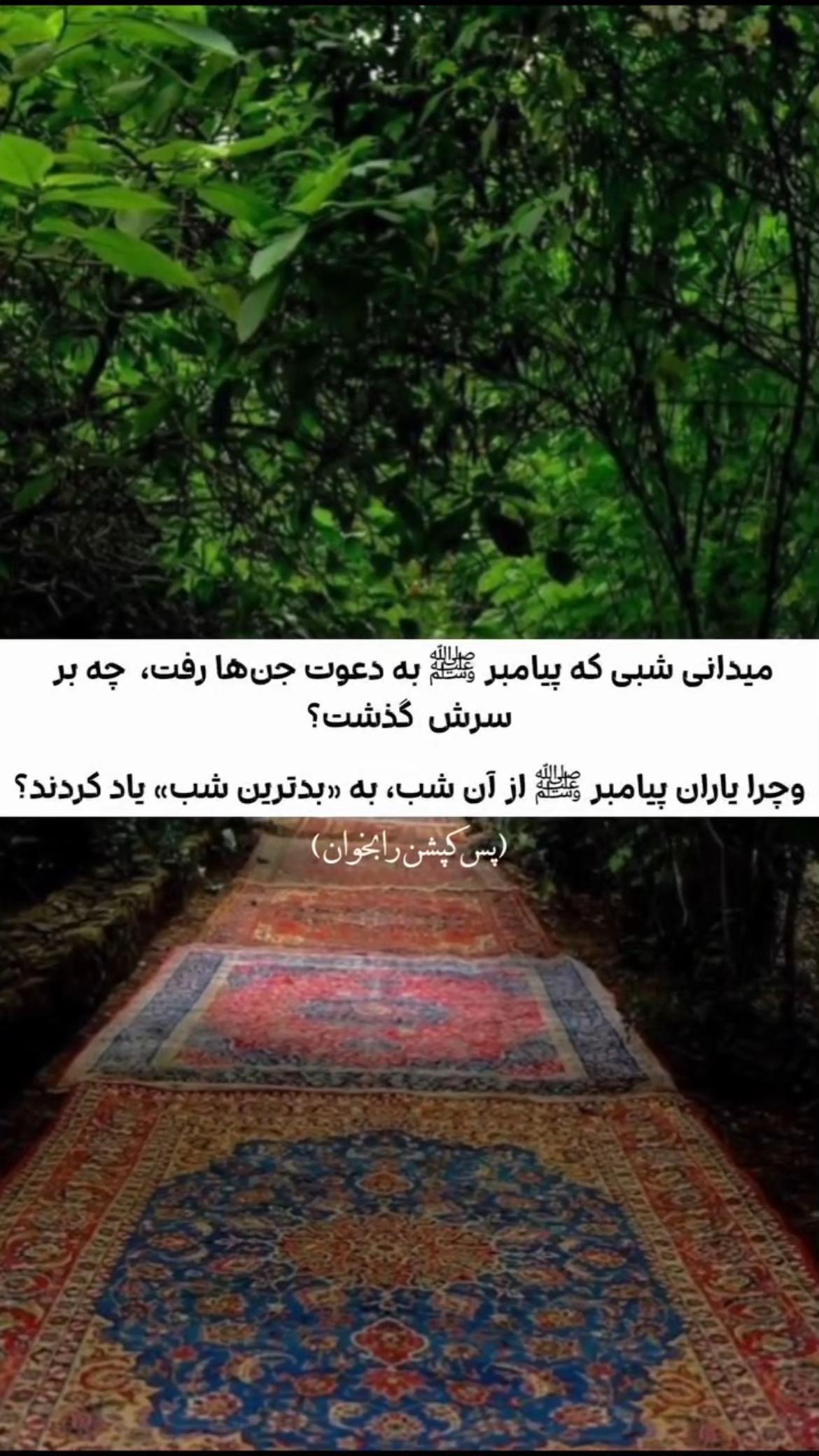 @𓆩ـمدᥫ᭡آحـ𓆪