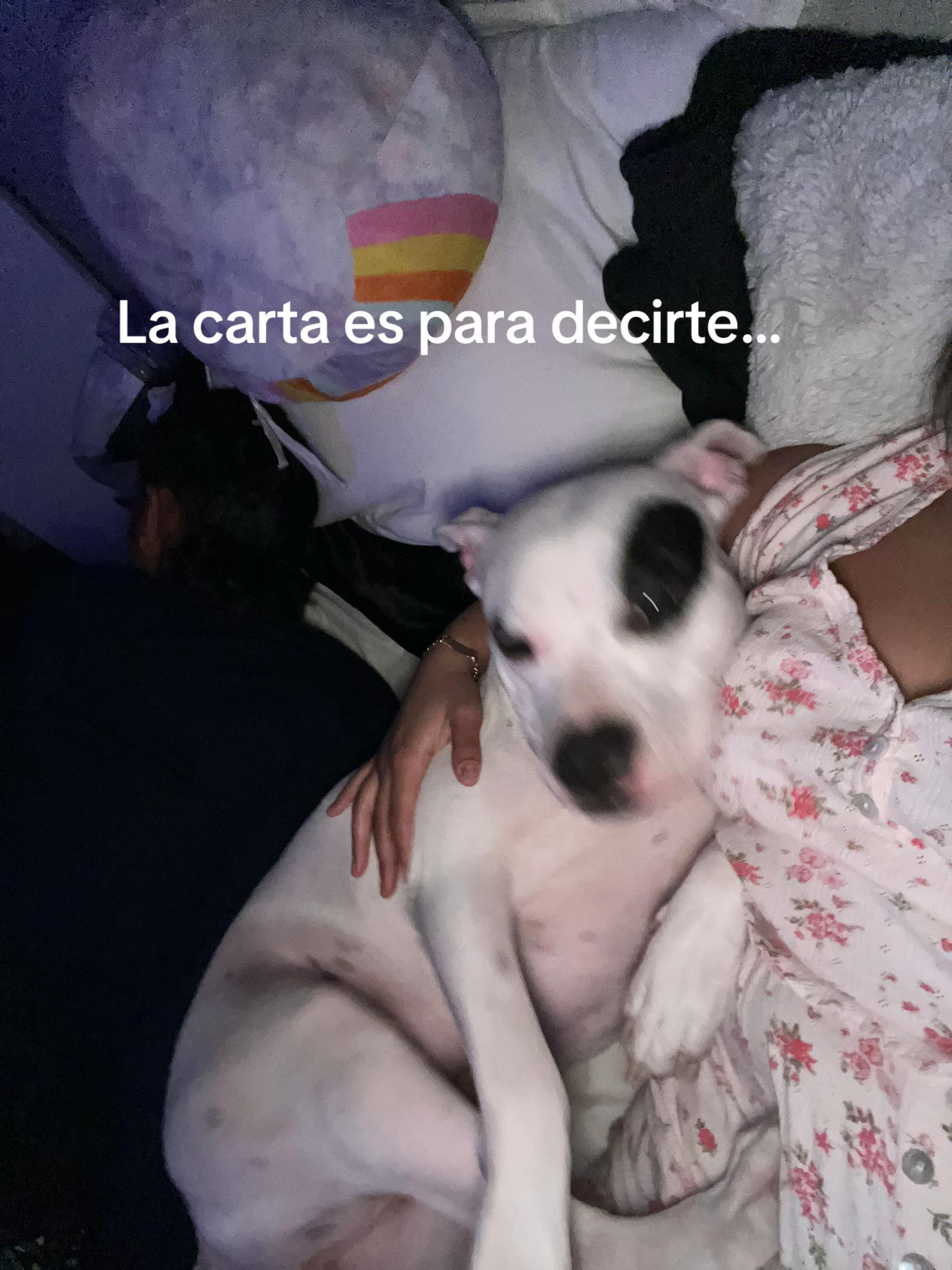 @Paola Carre&ntilde;o&hearts;️