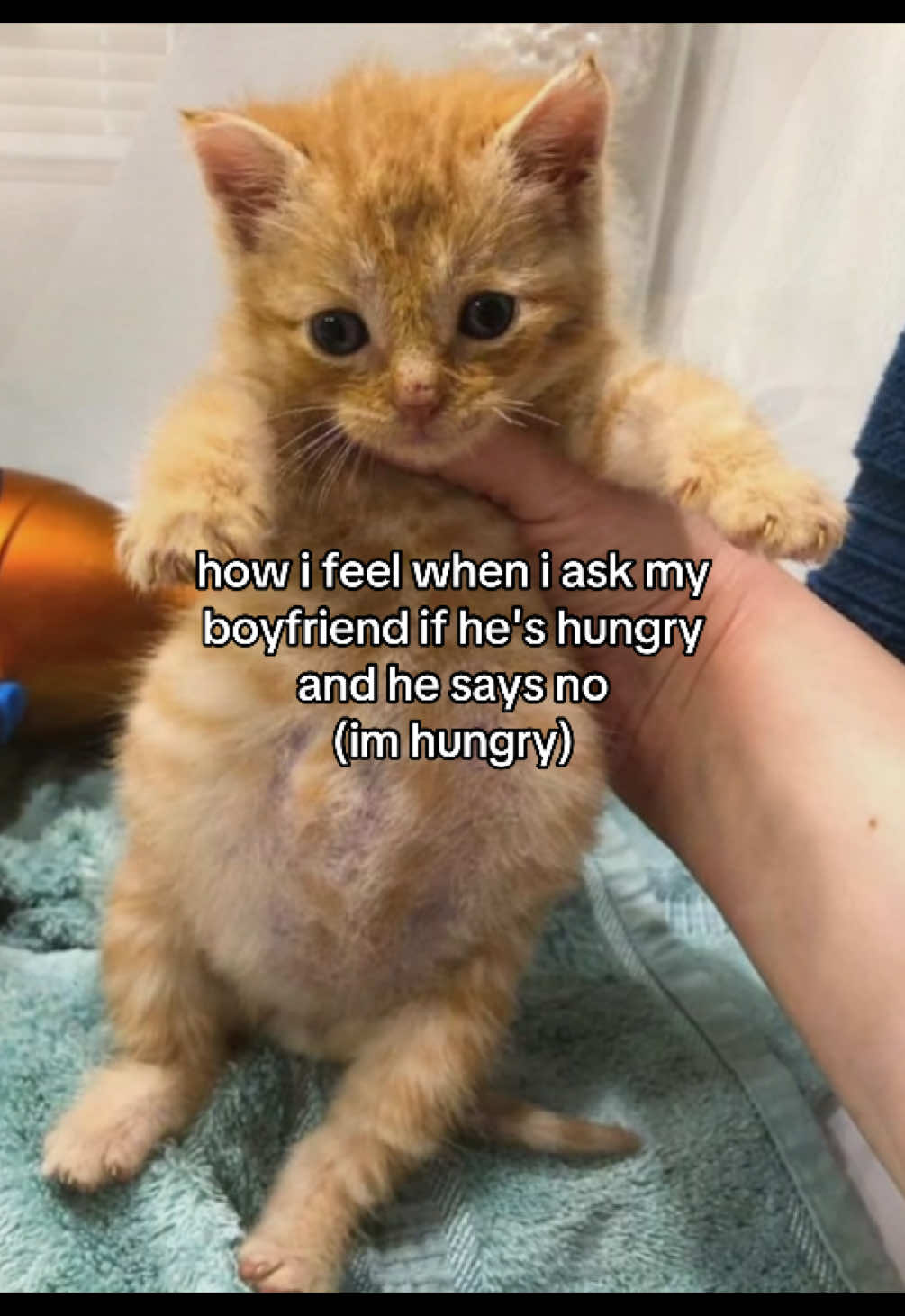 @Alice.cattok