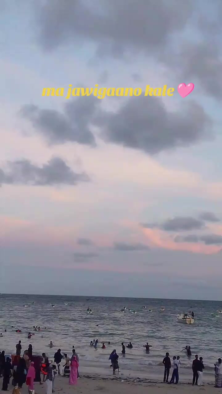 @salimasomali🌿