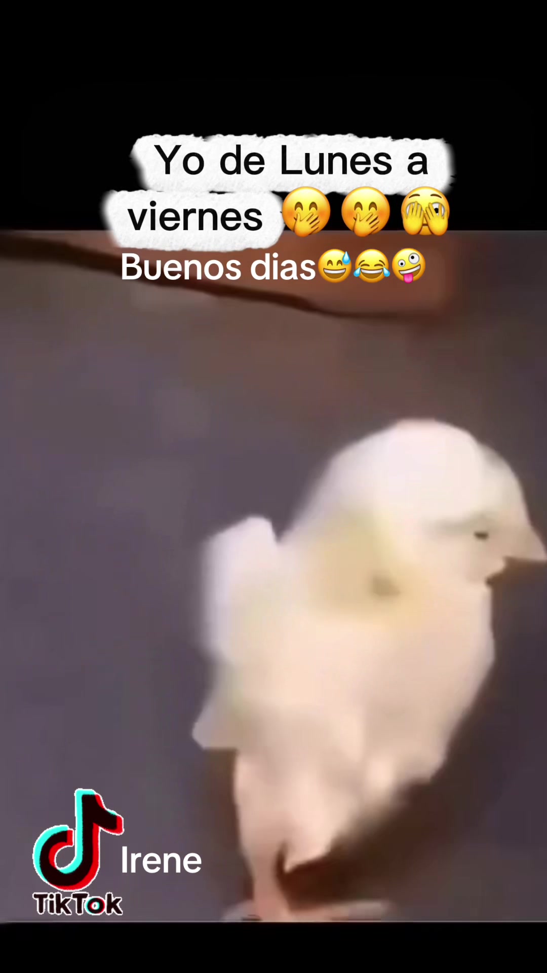 @Irene