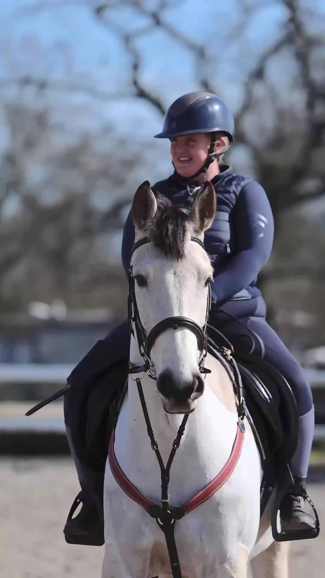 @ZB Equestrian