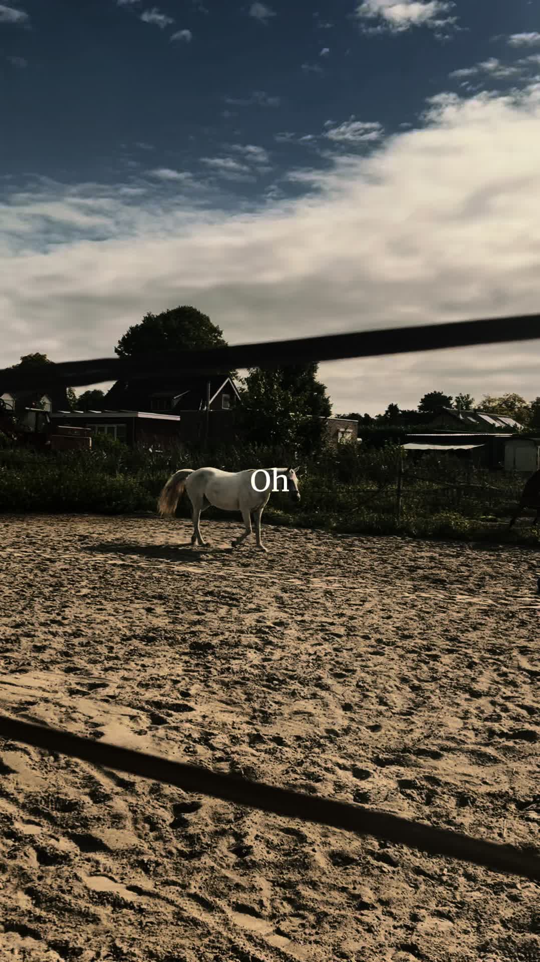 @fm