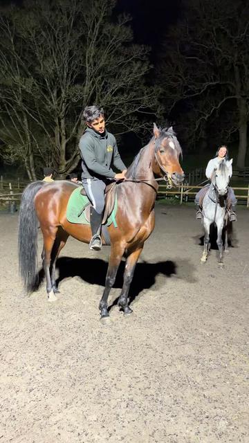@thekhansarabianstudfarm