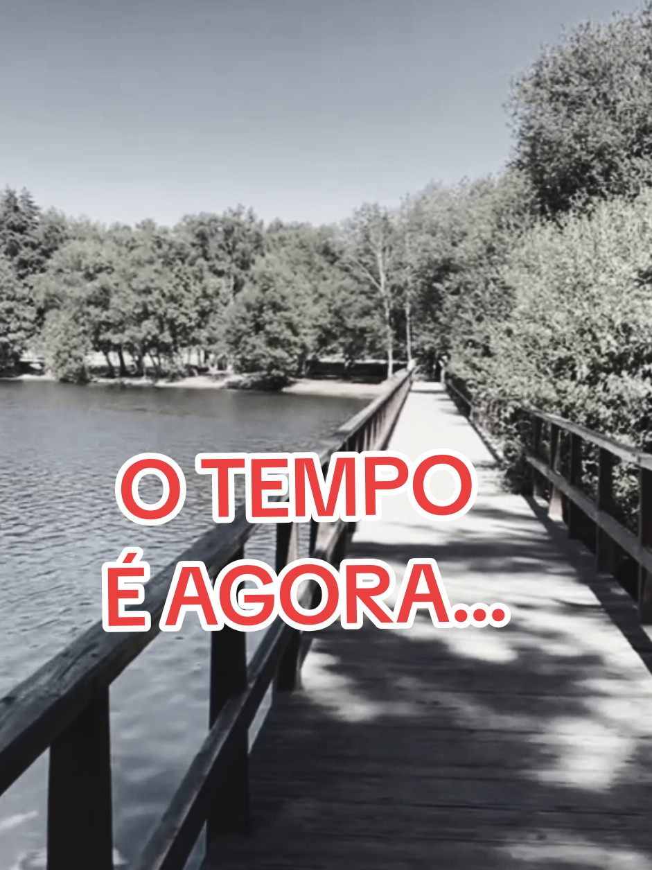 @Baby🇧🇷🌹