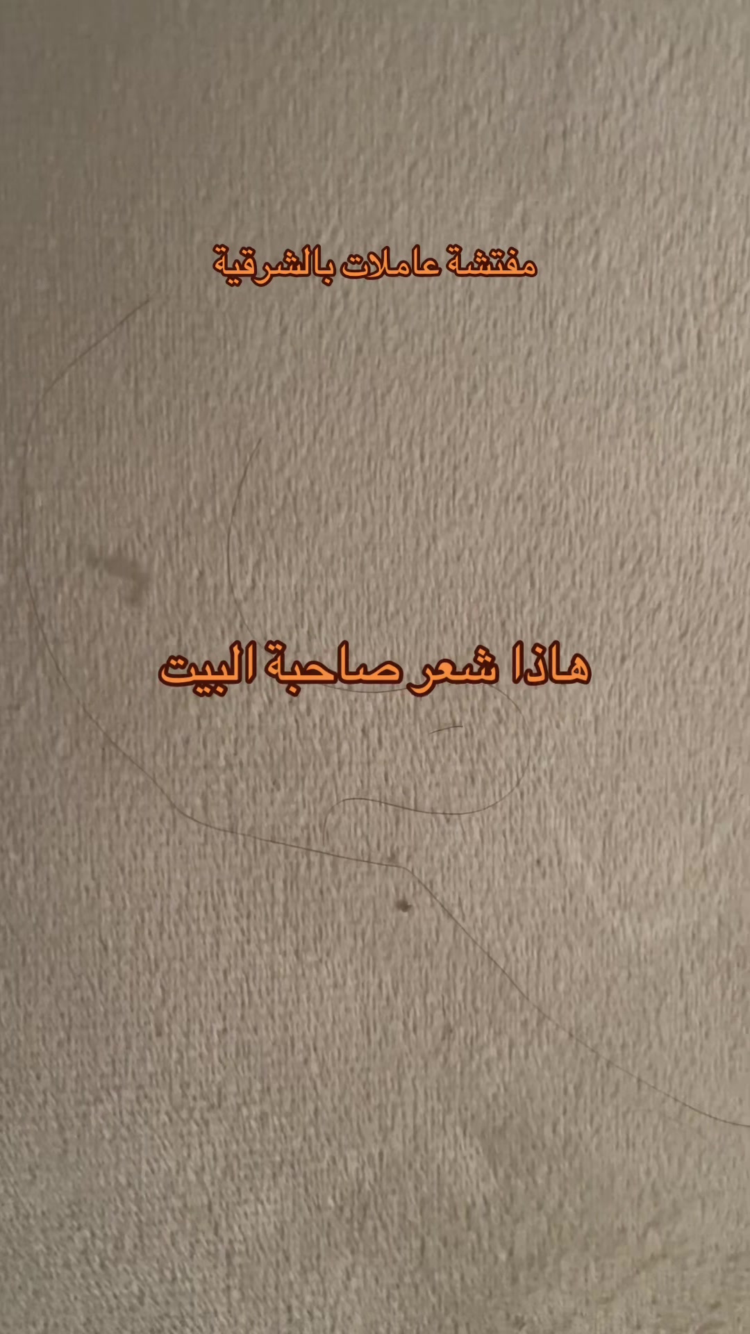 @مفتشة عاملات بالشرقية