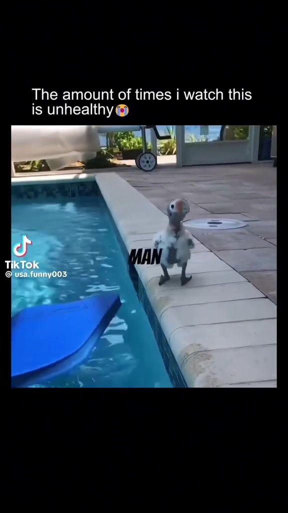 @DaFunnyBunny