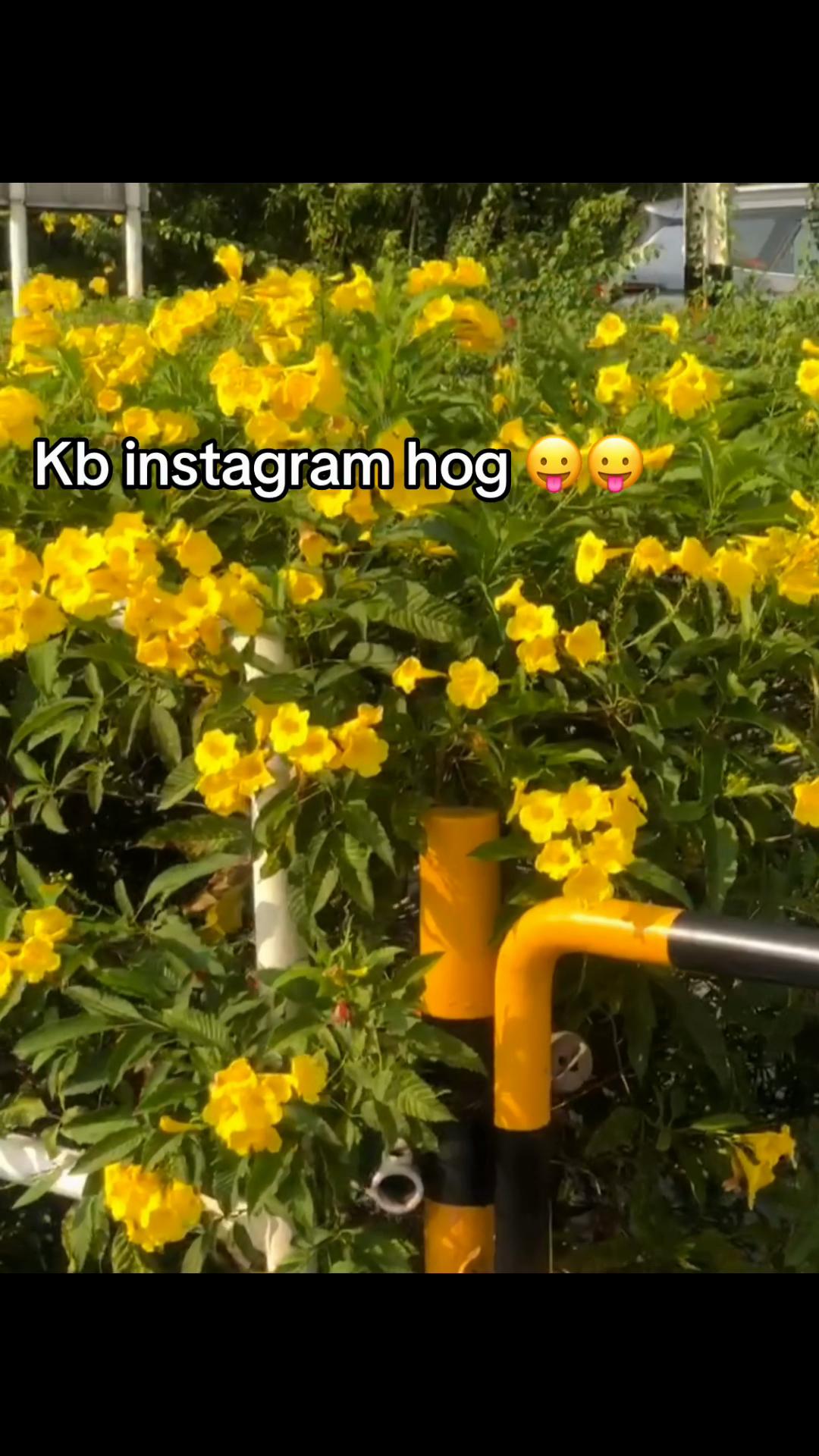 @😪
