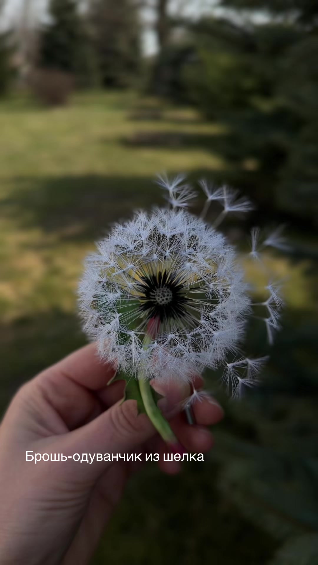 @tanya_forest_flowers