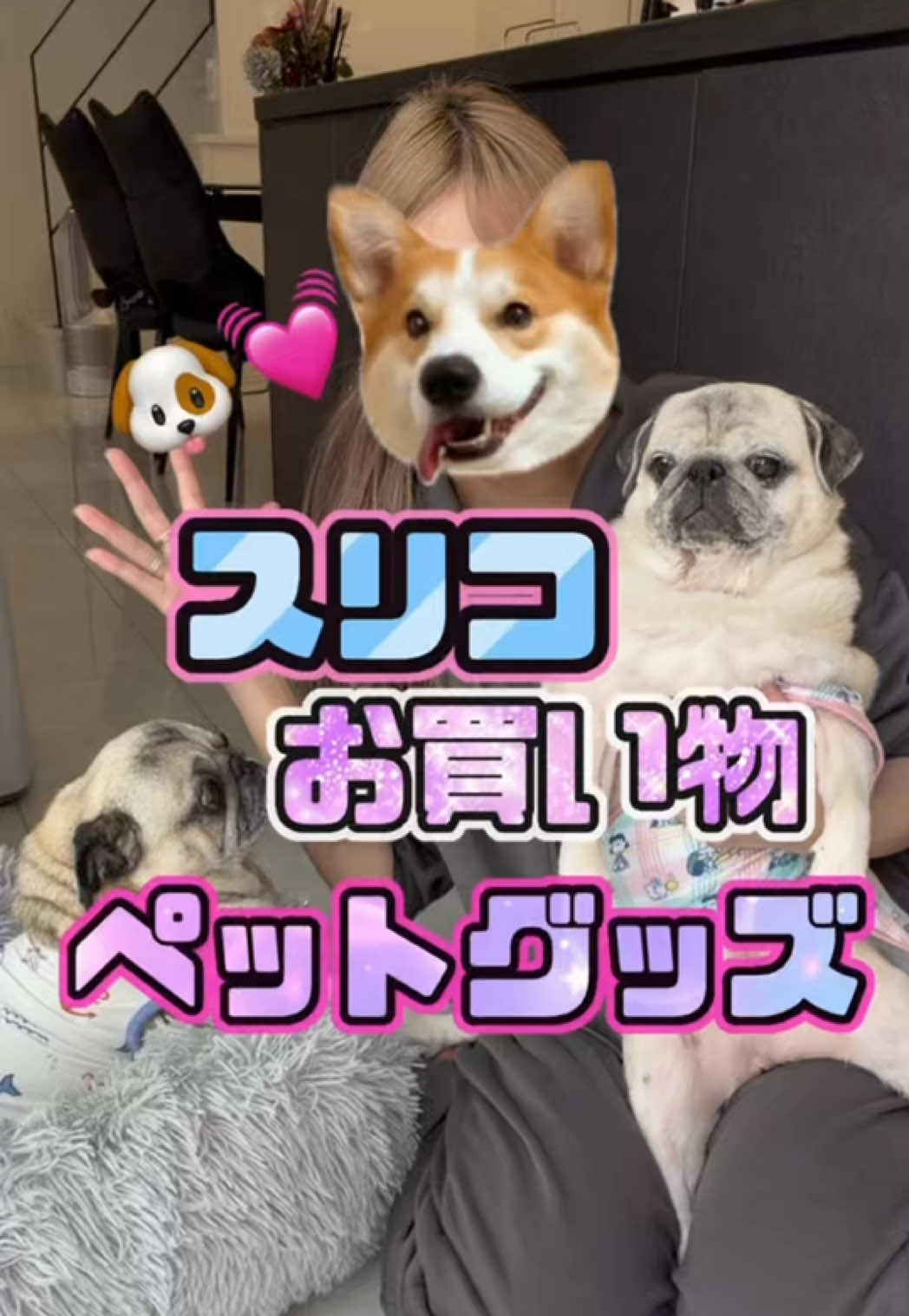 @ペコピノ🐶さっちゃん