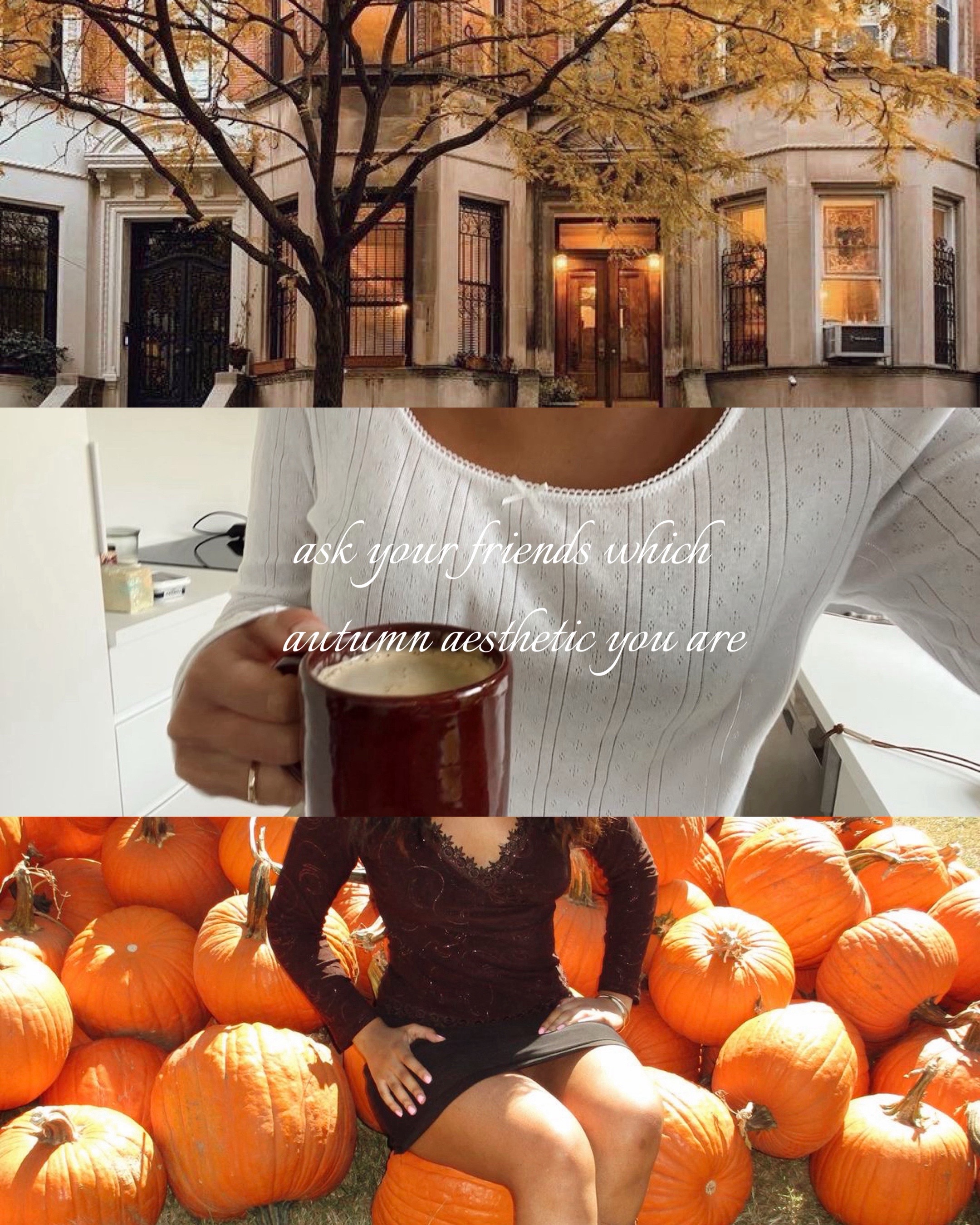 @kelly 🍂