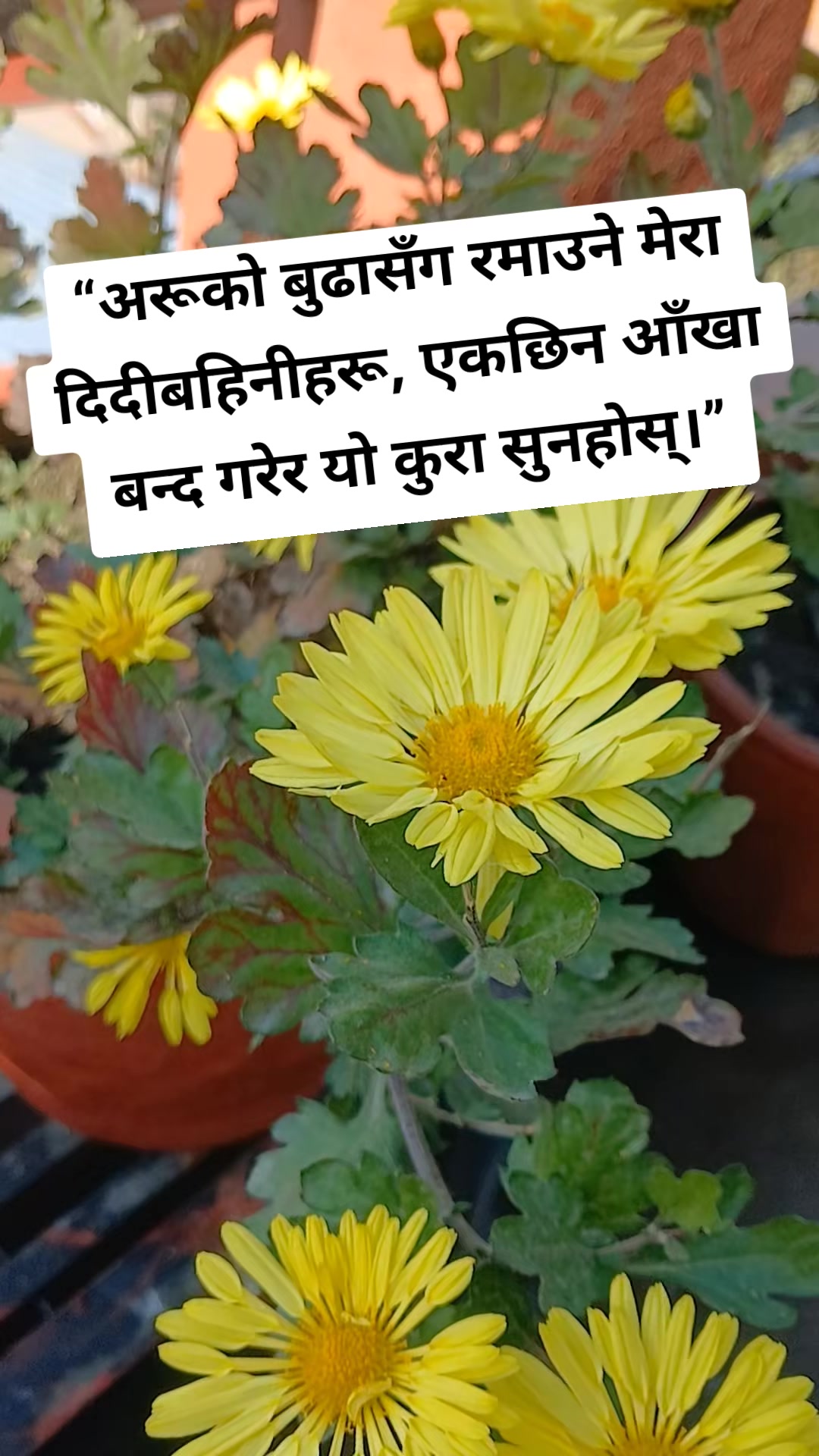 @Kabita Uprety