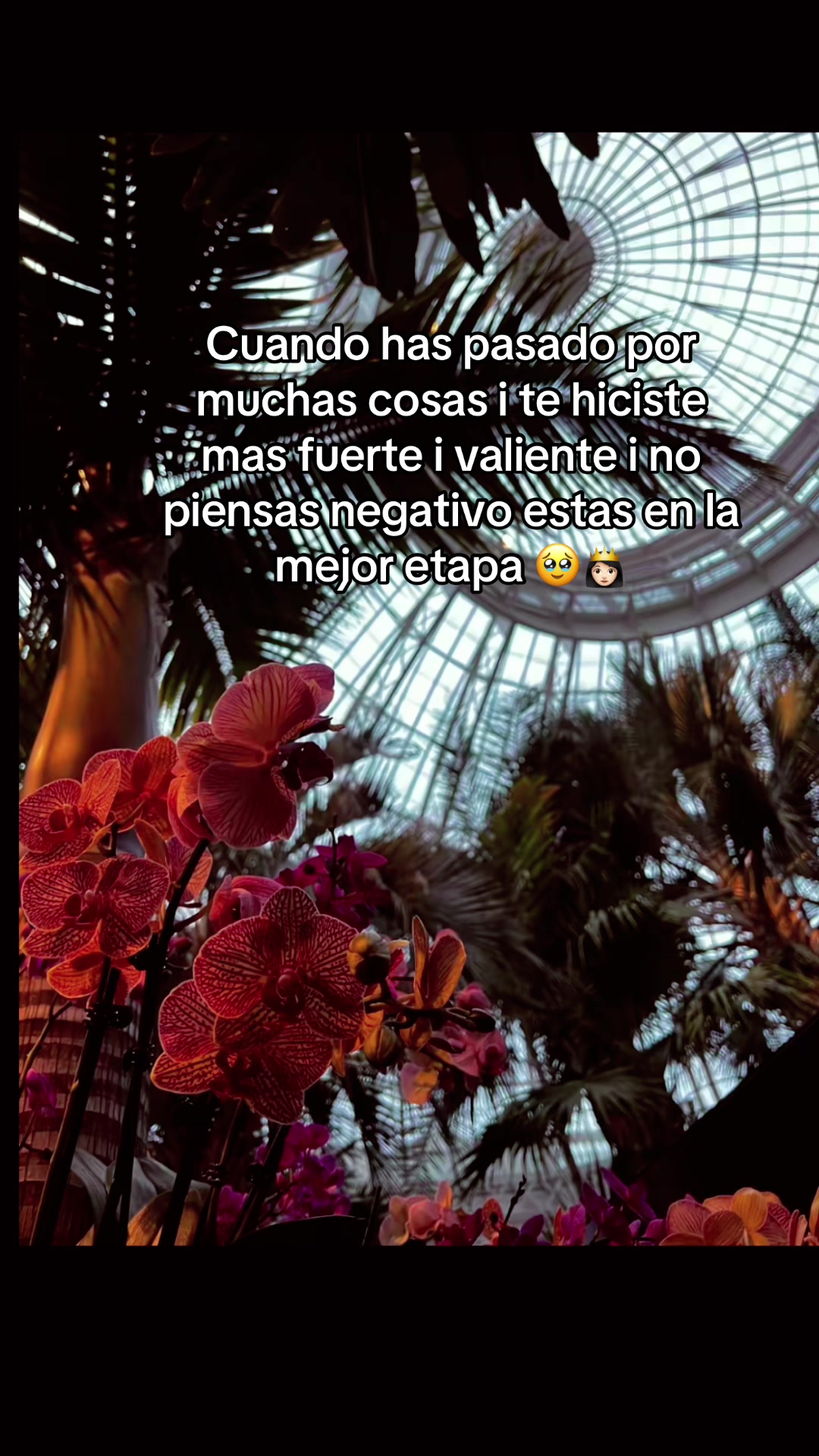 @&ldquo;Sofia🌷👸🏻&rdquo;
