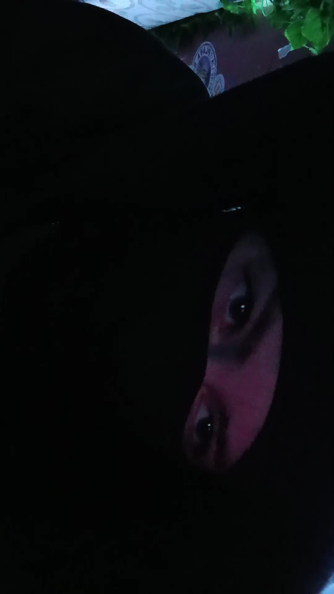 @٭ℭ𝔞𝔩𝔩𝔰𝔦𝔤𝔫_𝔎𝔦𝔫٭