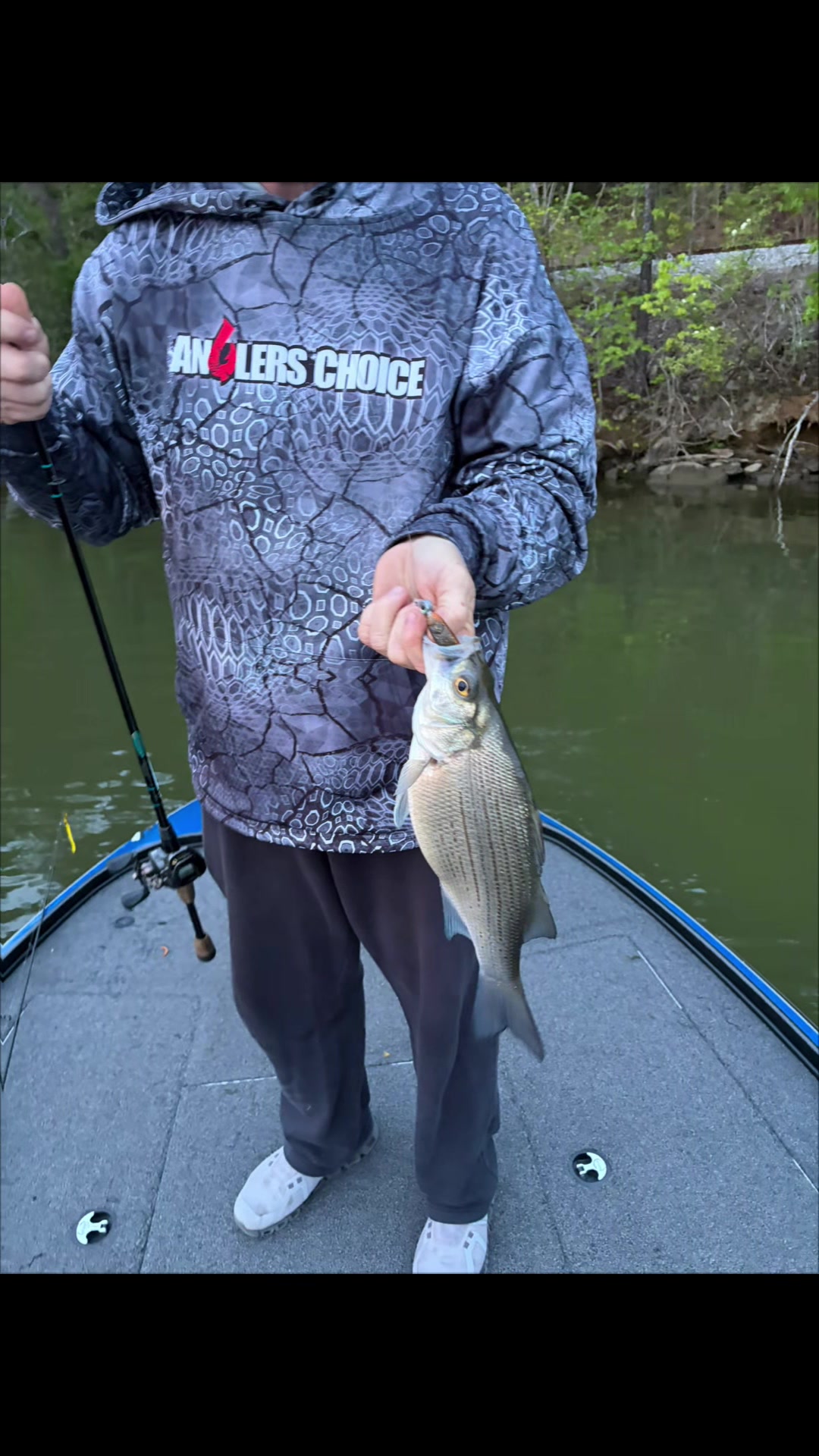 @WiCo Fishing products