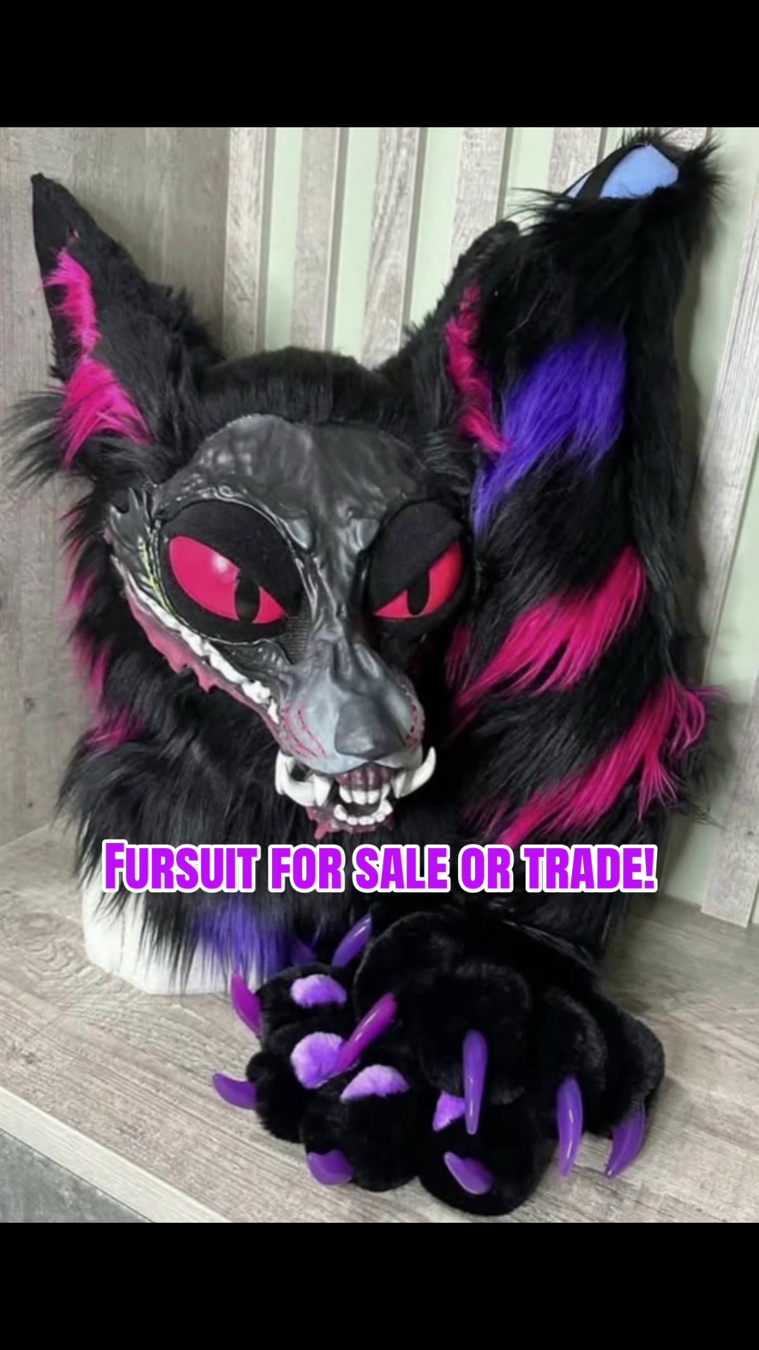 @☕︎ 𝐑𝐨𝐦𝐚𝐧 🔜 Furlandia
