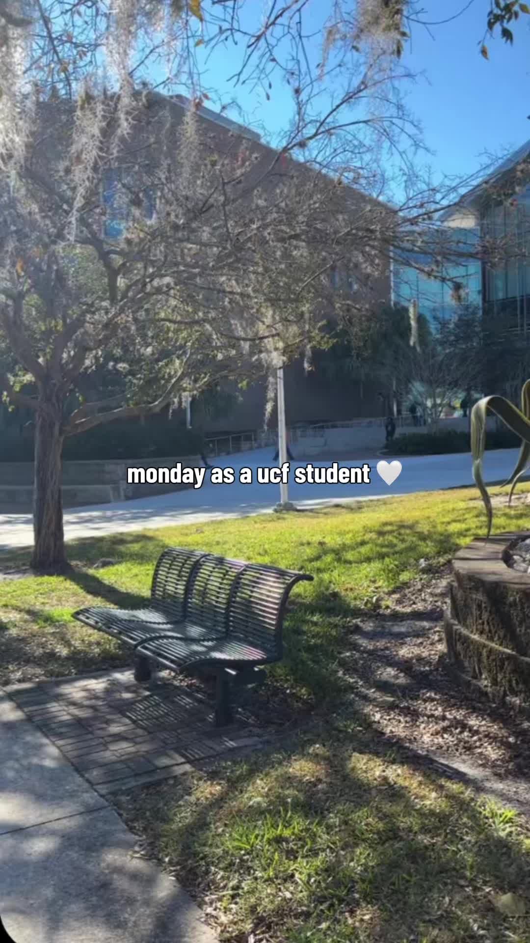 @إفراح🩷