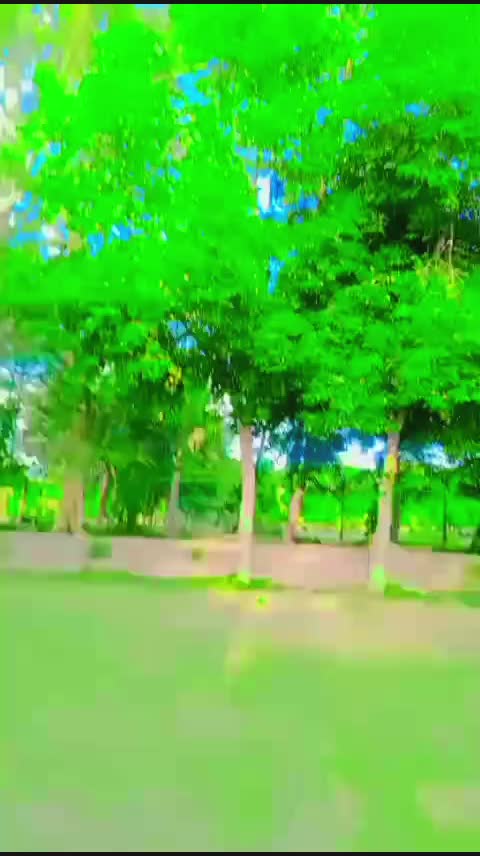 @Bashrat Bhatti 752