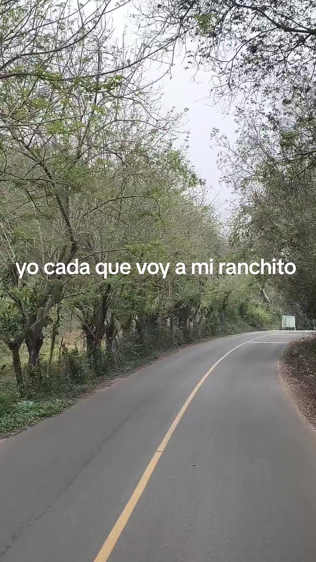 @Gisela Lucas Cortes