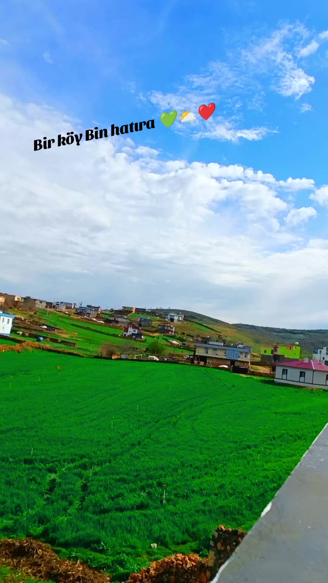@𝓕𝓮𝓻𝓱𝓪𝓽"🕊️