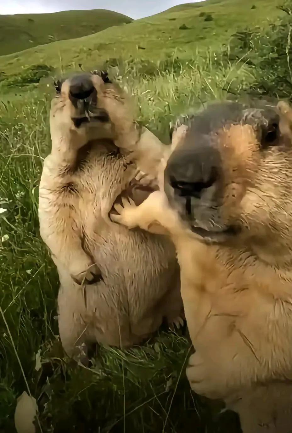 @eiueeiqkjsvde ehajjasbw sv
