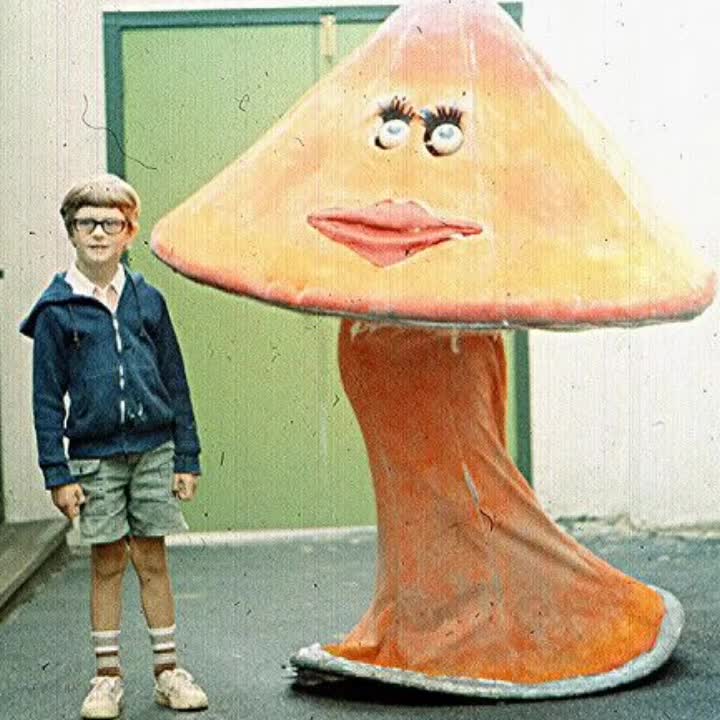 @weird side of internet