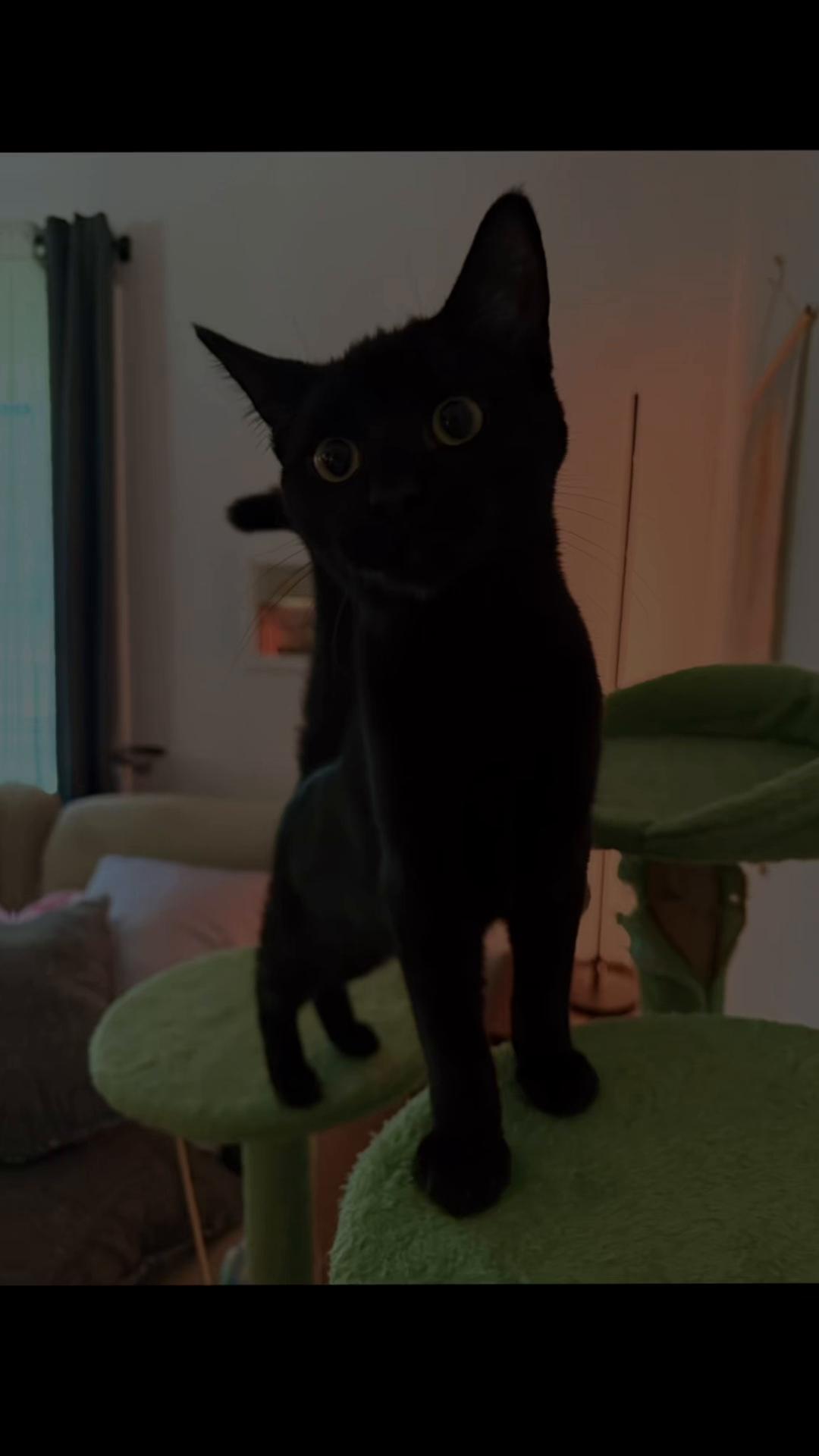 @ghabaghoulz
